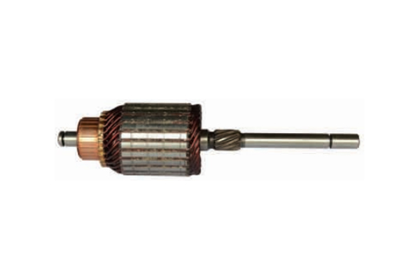 MYB169 