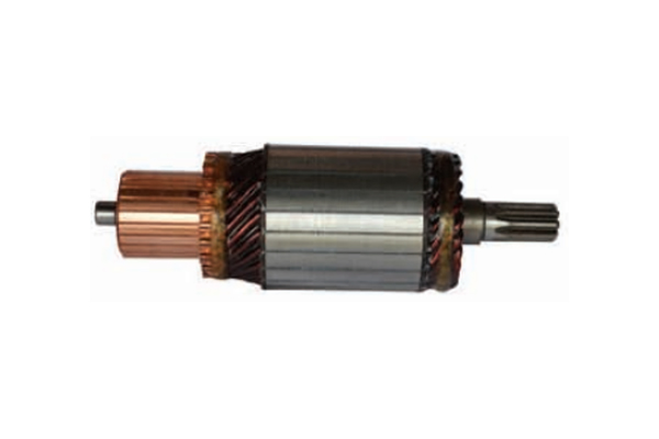 MYM231